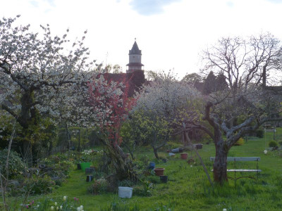 2017-04-20 Garteneinblick 1.jpg