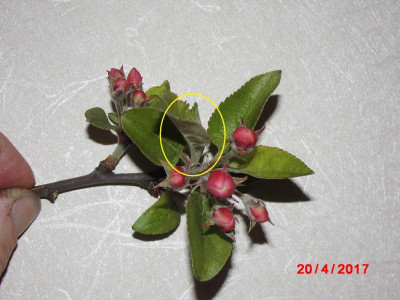 DSCI0893.JPG
