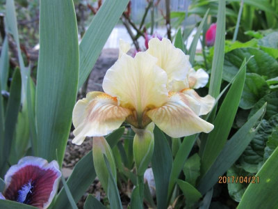 IMG_2840 small.jpg