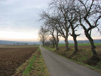 BAUME_MO_191107.jpg