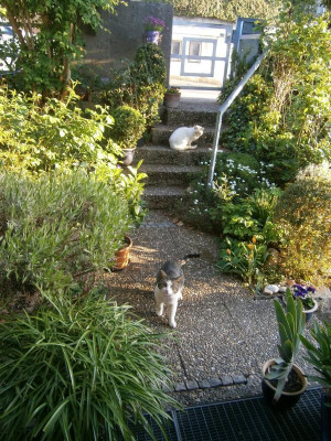 Besuch 001.JPG