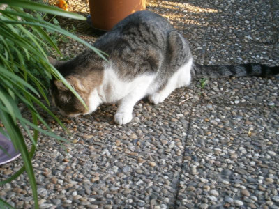 Besuch 004.JPG
