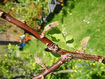 DSCN2795.JPG