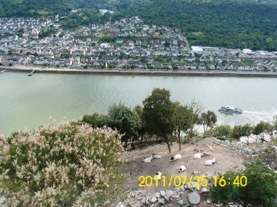 DSCI0115.JPG