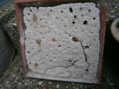 bienenhaus 005.JPG