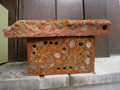 bienenhaus 006.JPG