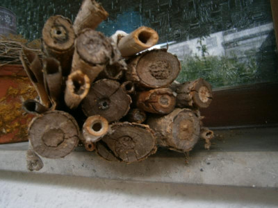 bienenhaus 008.JPG