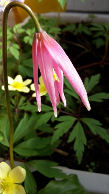 20170425_165509.jpg