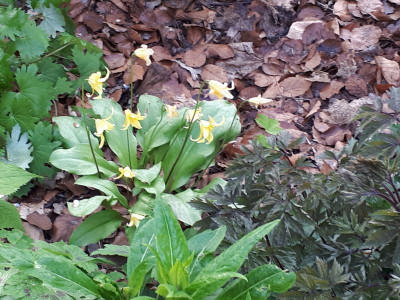 20170426_080202.jpg