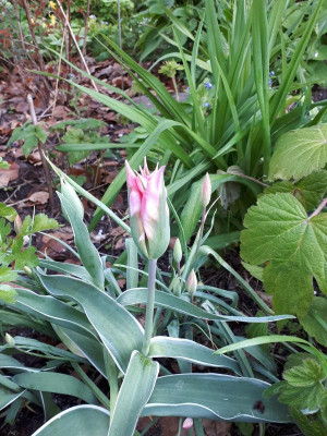 20170426_080554.jpg