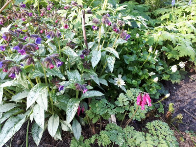 20170426_081044.jpg