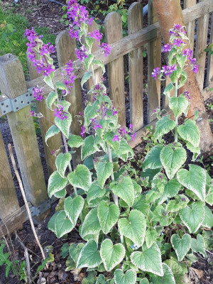 20170426_081640.jpg