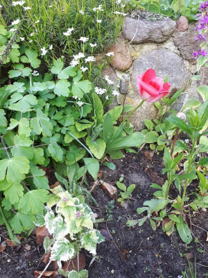 20170426_080641.jpg