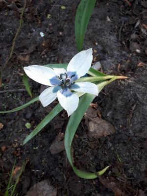 20170426_081445.jpg