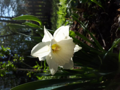 20170426_081415.jpg