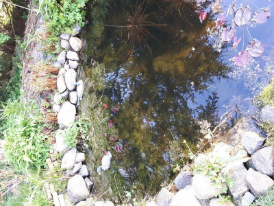 20170426_083451.jpg