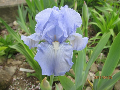 IMG_2886 small.jpg