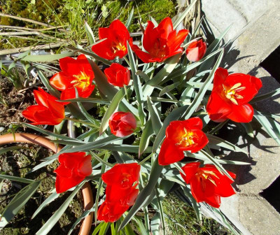 2017-04-24 10.18.01.jpg