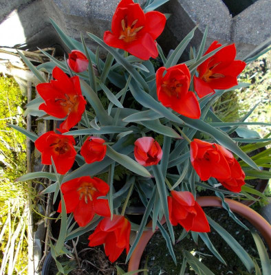 2017-04-24 10.18.12.jpg