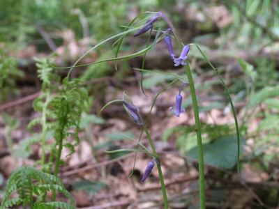 DSCF3747.JPG