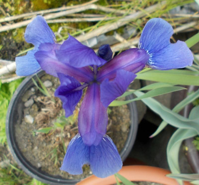 2017-04-28 10.21.23.jpg