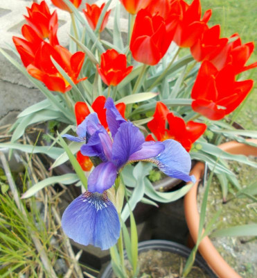 2017-04-28 10.20.54.jpg
