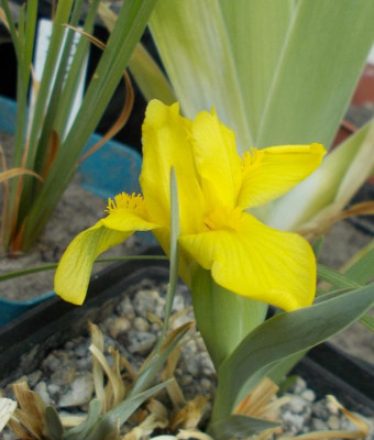 2017-04-28 10.22.25.jpg