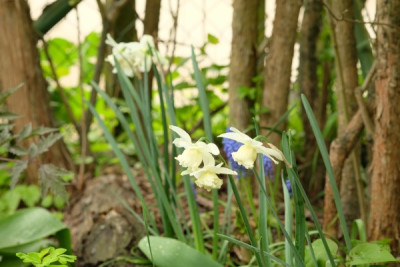 DSCF2195_2314.JPG