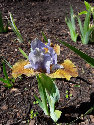 20170429_132326.jpg