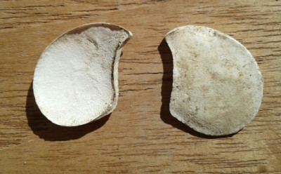 20170430_170402-1.jpg