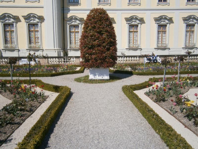 BlüBa Gartentage 17 013.JPG
