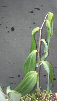 20170501_132437.jpg