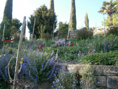 BlüBa Gartentage 17 082.JPG
