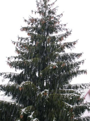 09.12.2006.2.JPG