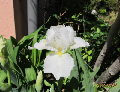 IMG_2927 small.jpg
