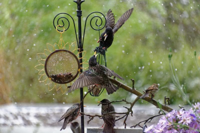DSC_7962_DxO.jpg
