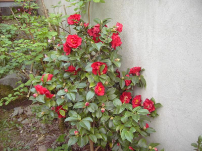 PICT1658.JPG
