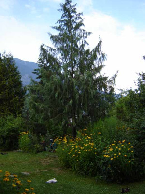 DSC007.jpg