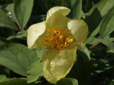 DSCF3763.JPG