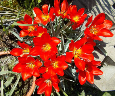 2017-04-30 12.59.07.jpg