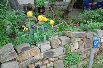 DSC_9882.JPG