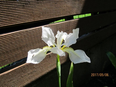 IMG_2942 small.jpg