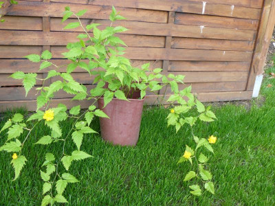 P1220414.JPG