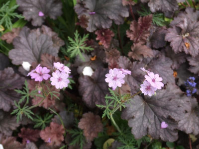 DSCF3776.JPG