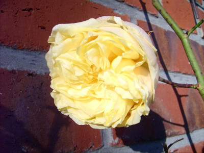 10.12.06.jpg