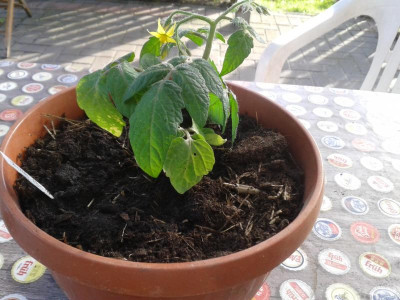 20170507_181815.jpg