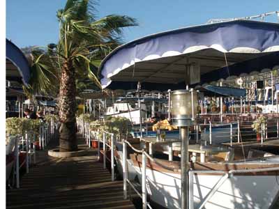 Hafenkneipen_in_Funchal.jpg