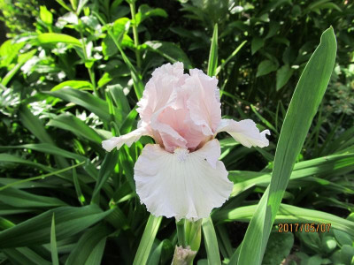 IMG_2967 small.jpg