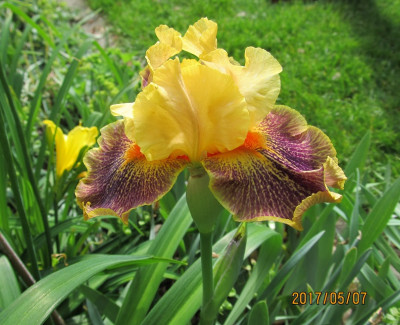 IMG_2972 small.jpg