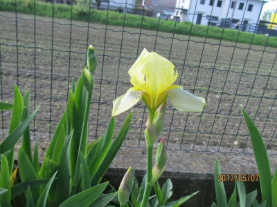 IMG_2955 small.jpg